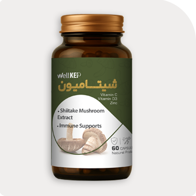 شیتامون